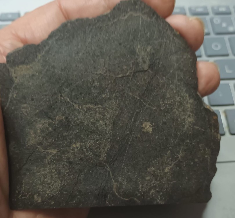 WhatsApp Image 2026-02-23 at 16.3.jpeg