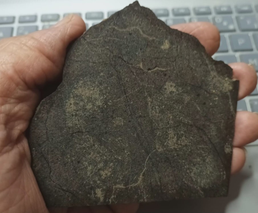 WhatsApp Image 2026-02-23 at 16.34.59.jpeg