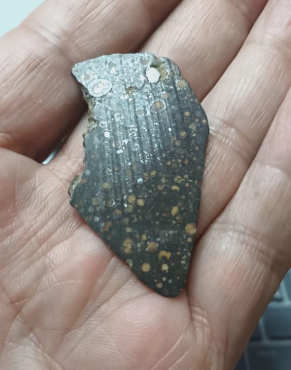 WhatsApp Image 2026-02-26 at 10.13..jpeg