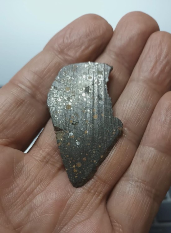 WhatsApp Image 2026-02-26 at 10.13.21.jpeg