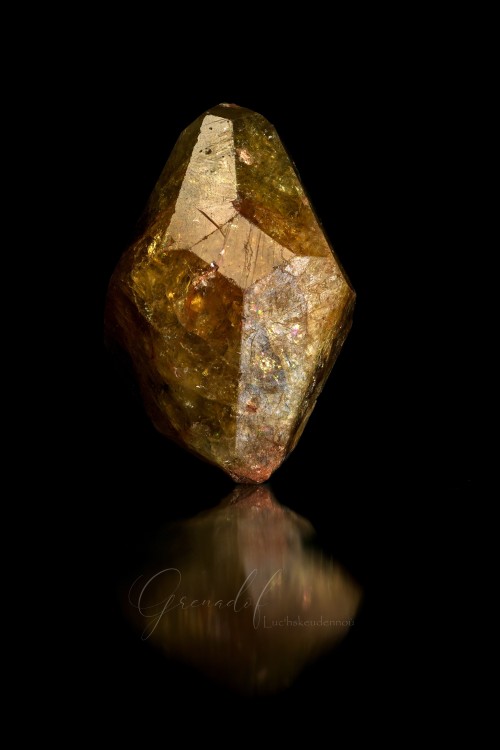 mali dégormé translucide 48mm.jpg