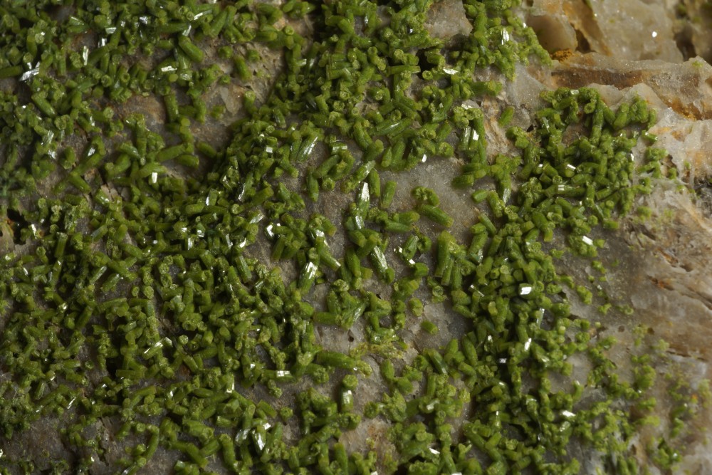 112-24  PYROMORPHITE (2).JPG