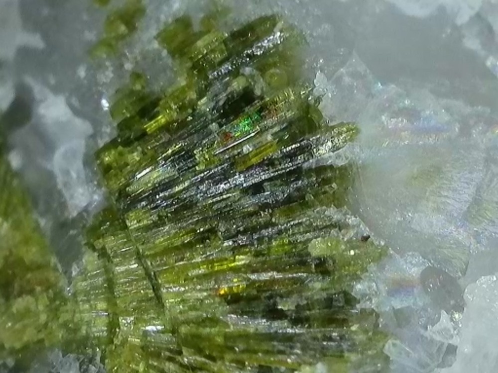 2026-03-29-130701078 (1).jpg