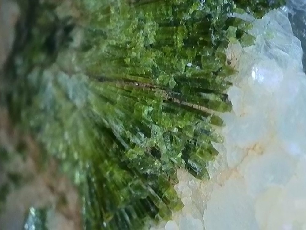 2026-03-29-130912520 (1).jpg