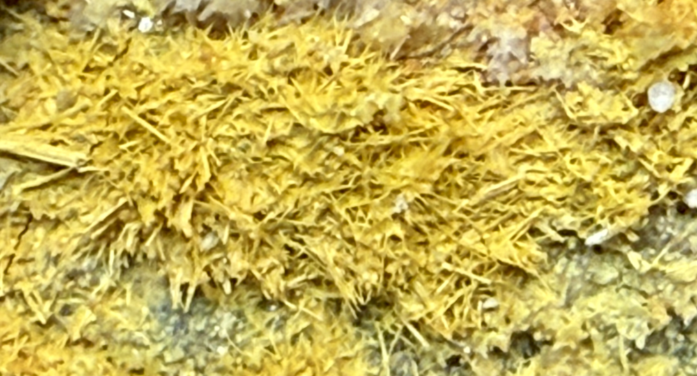 Capture d’écran 2026-03-04 à 22.30.54.png