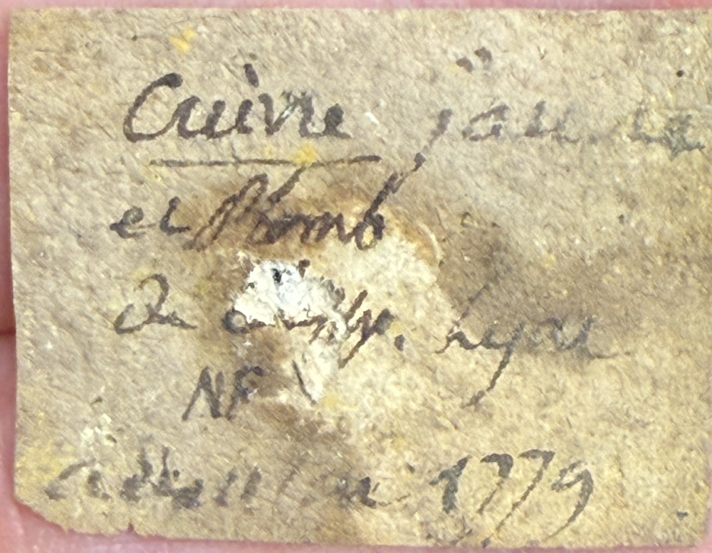 Capture d’écran 2026-03-04 à 22.31.50.png