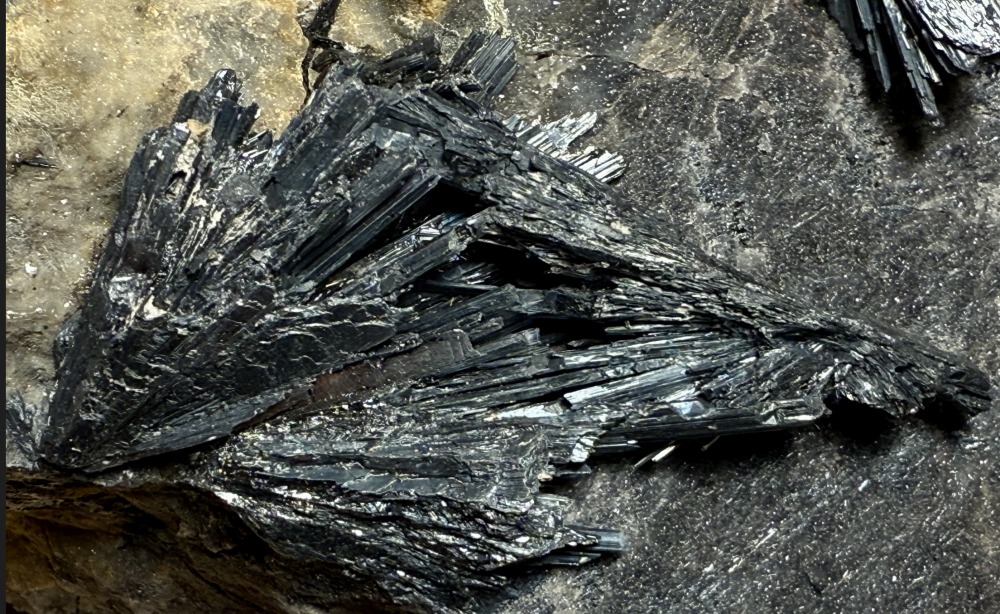 Capture d’écran 2026-03-06 à 18.30.01.png