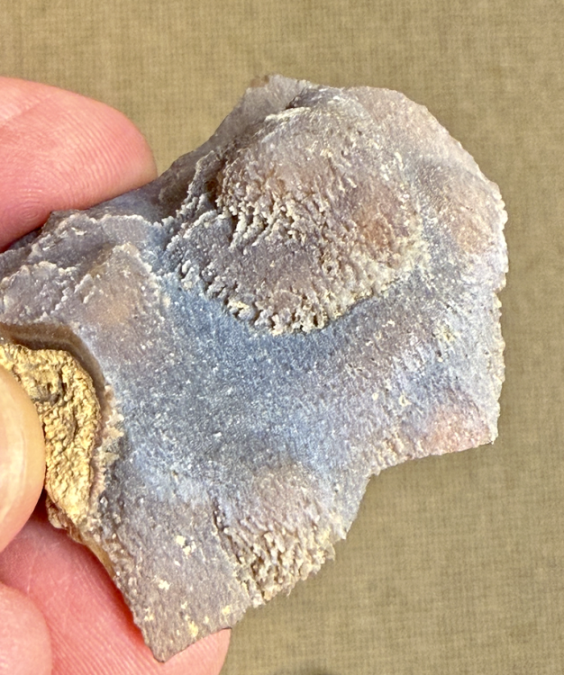 Capture d’écran 2026-03-19 à 00.34.49.png