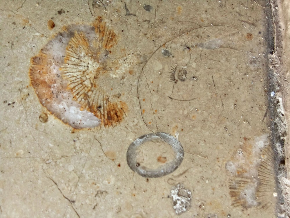 IMG_20250912_201457 (1).jpg