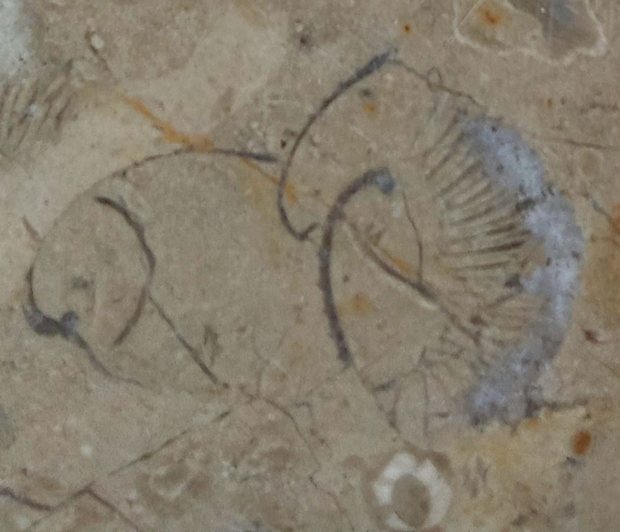 IMG_20250912_201537 (1).jpg