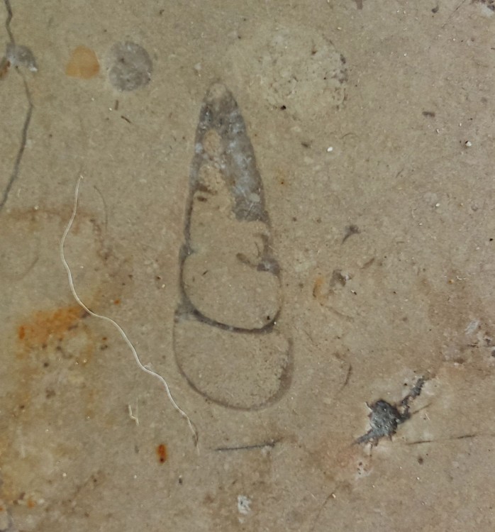 IMG_20250912_201758 (1).jpg