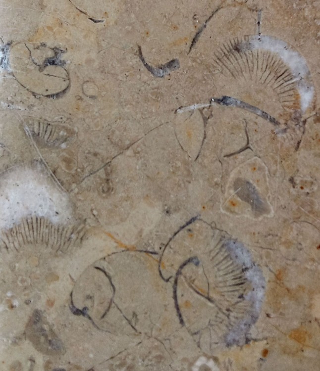 IMG_20250912_201944 (1).jpg