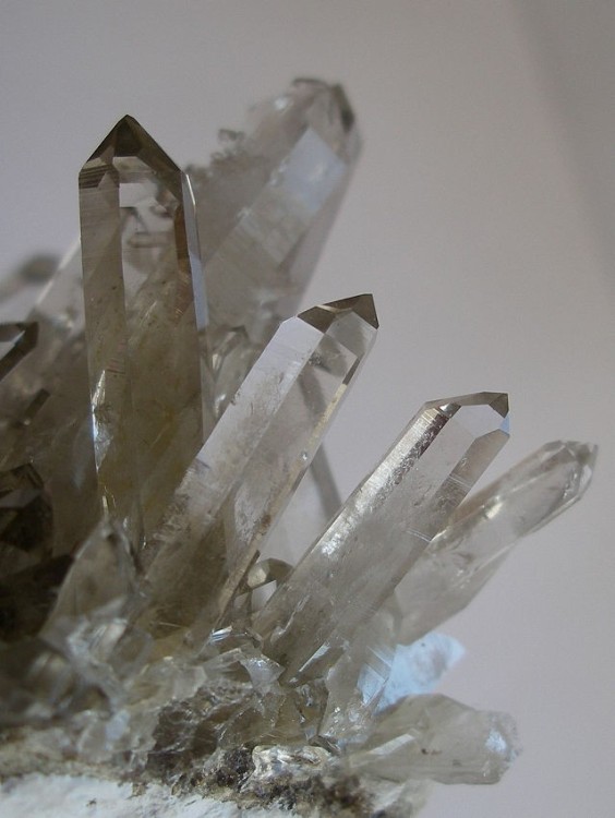 La Gardette - fumé -2.jpg