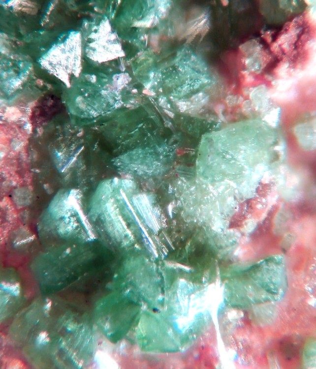 Olivénite 1 x100.jpg