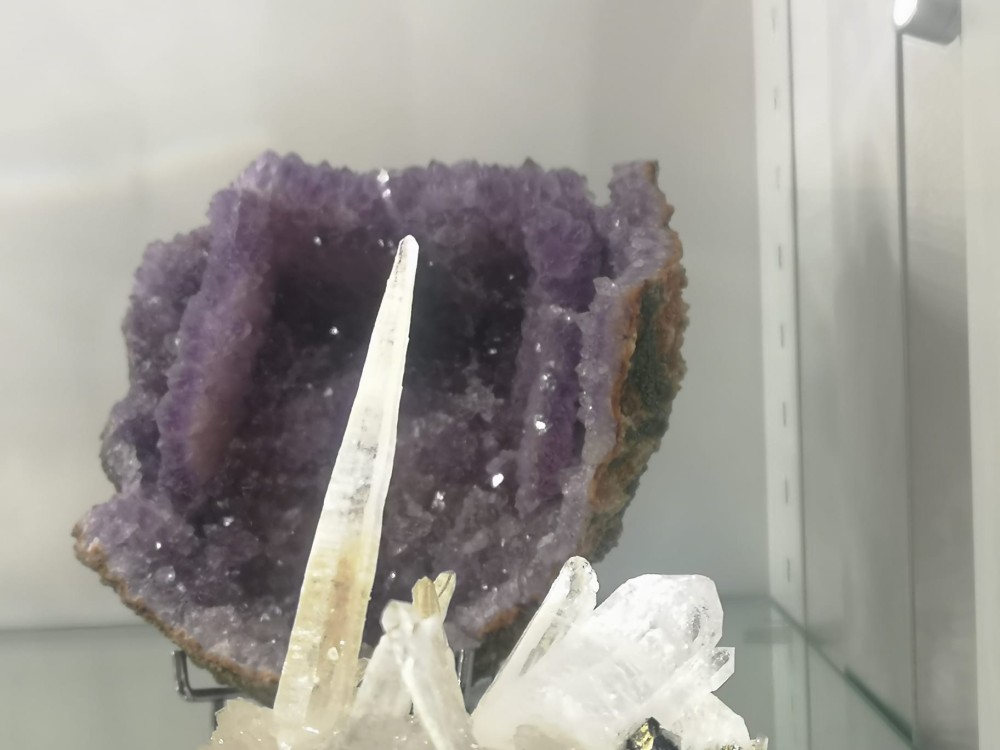 WhatsApp Image 2026-03-19 at 09.55.16.jpeg