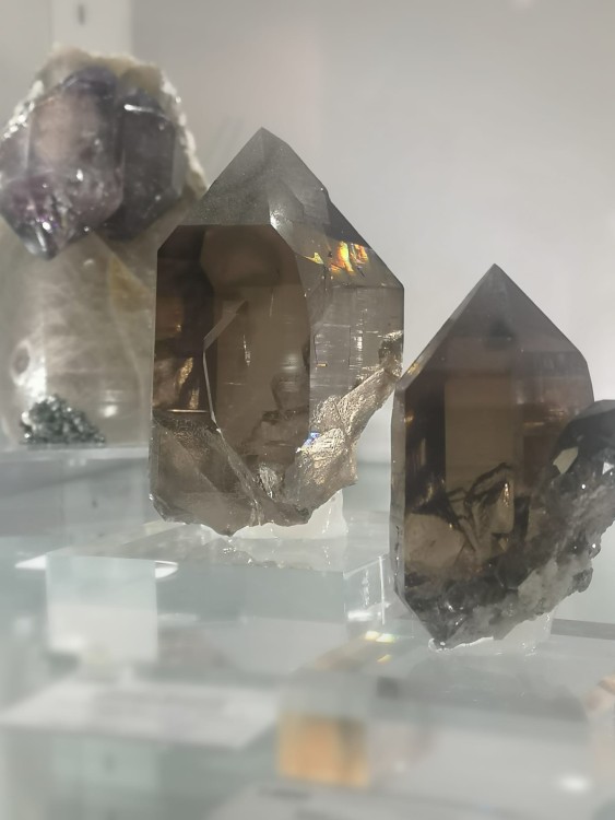 WhatsApp Image 2026-03-19 at 09.56.58.jpeg