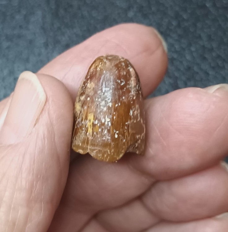 WhatsApp Image 2026-03-21 at 08.33.40.jpeg