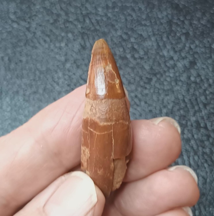 WhatsApp Image 2026-03-21 at 08.33.401.jpeg