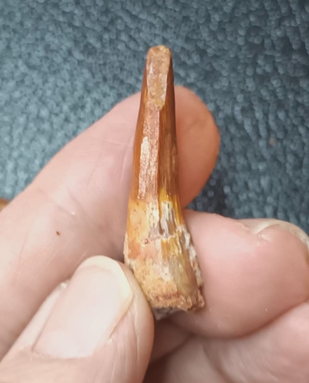 WhatsApp Image 2026-03-21 at 08.33.41.jpeg