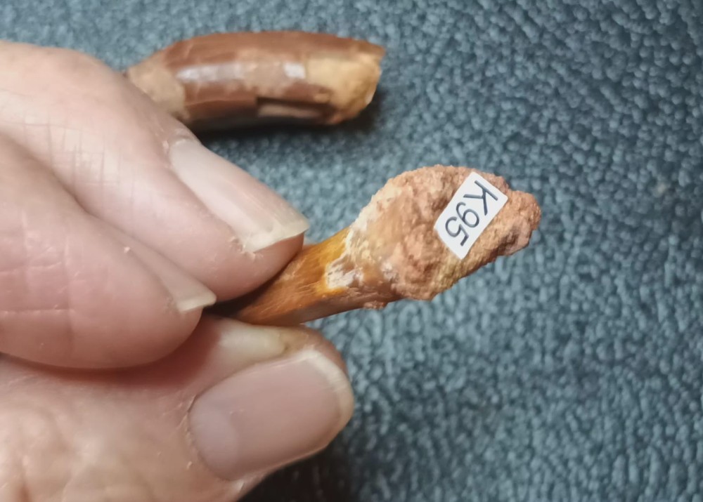 WhatsApp Image 2026-03-21 at 08.33.411.jpeg