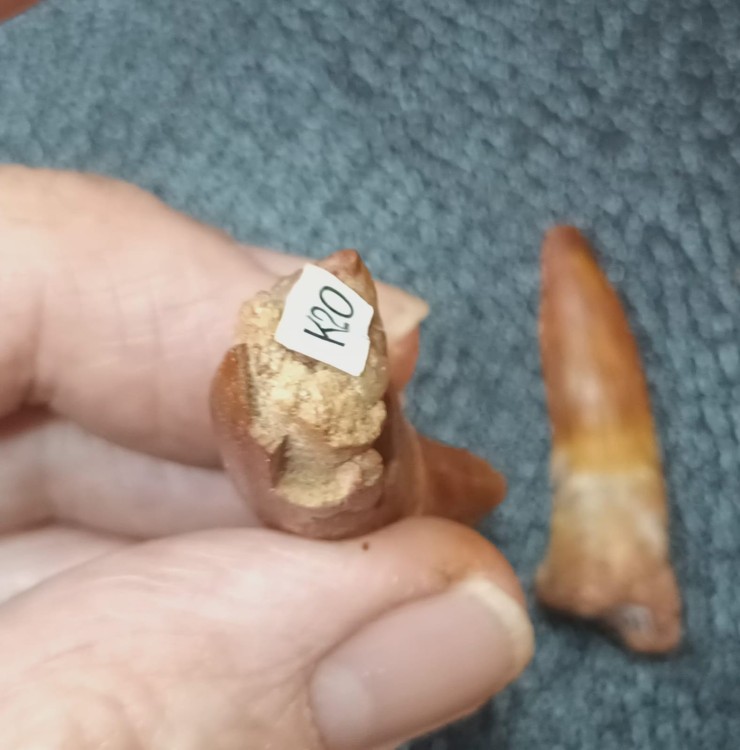 WhatsApp Image 2026-03-21 at 08.33.412.jpeg