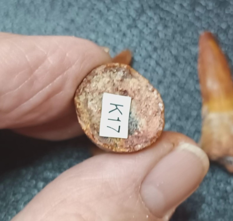 WhatsApp Image 2026-03-21 at 08.33.42.jpeg