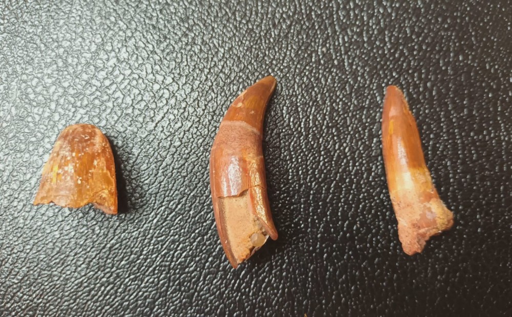 WhatsApp Image 2026-03-21 at 08.33.44.jpeg