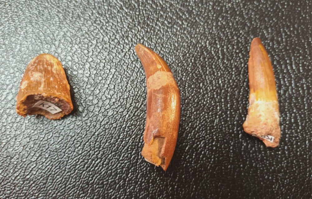 WhatsApp Image 2026-03-21 at 08.33.443.jpeg