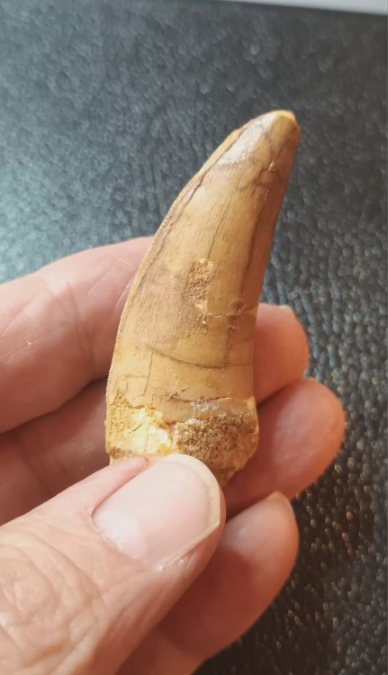 WhatsApp Image 2026-03-21 at 09.17.24.jpeg