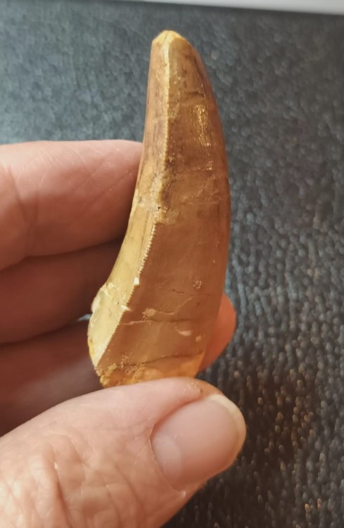 WhatsApp Image 2026-03-21 at 09.17.241.jpeg