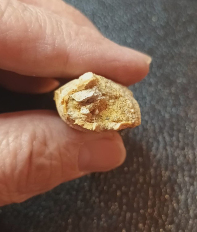 WhatsApp Image 2026-03-21 at 09.17.25.jpeg