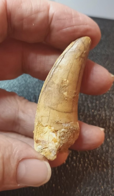 WhatsApp Image 2026-03-21 at 09.17.2511.jpeg