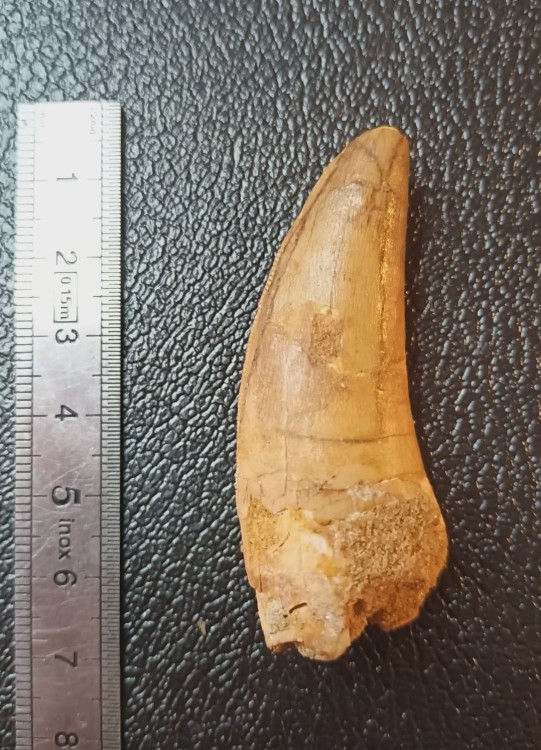 WhatsApp Image 2026-03-21 at 09.17.31.jpeg