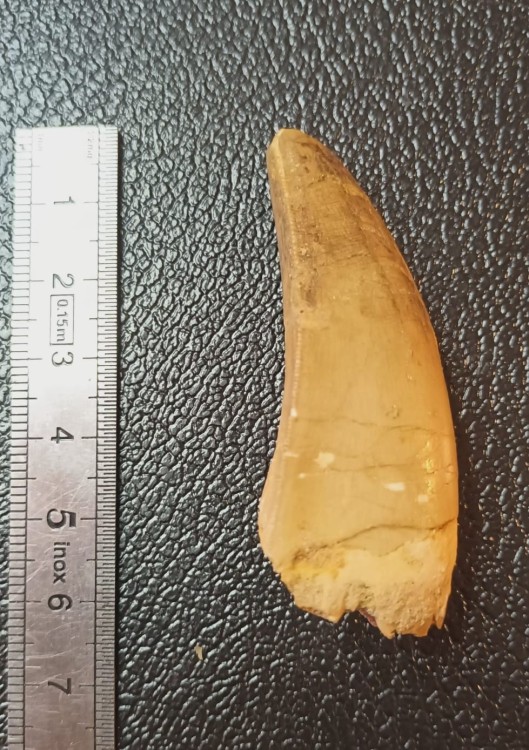 WhatsApp Image 2026-03-21 at 09.17.32.jpeg