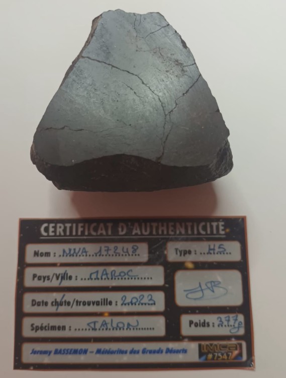 WhatsApp Image 2026-03-25 at 10.45.14.jpeg