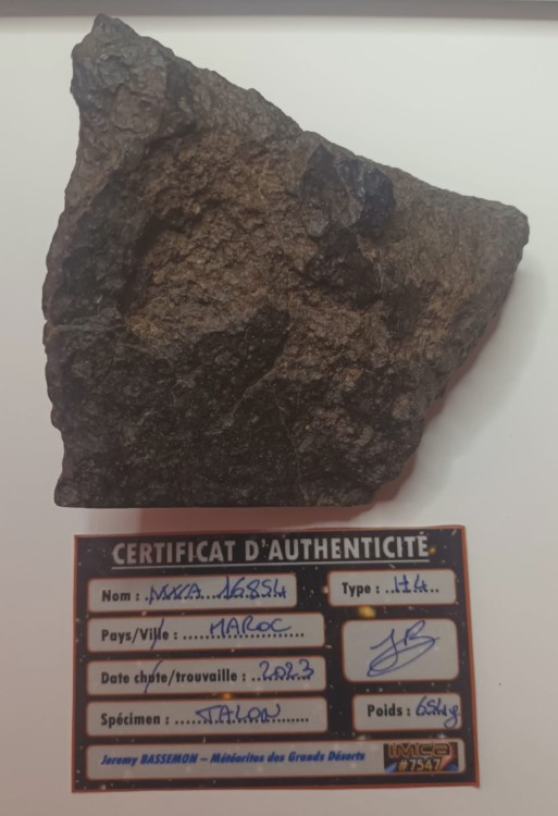 WhatsApp Image 2026-03-25 at 10.45.17.jpeg