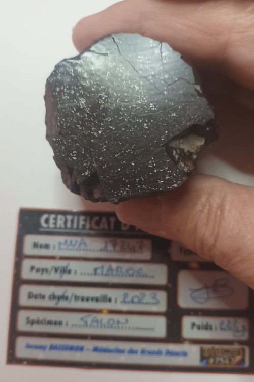 WhatsApp Image 2026-03-25 at 10.45.171.jpeg