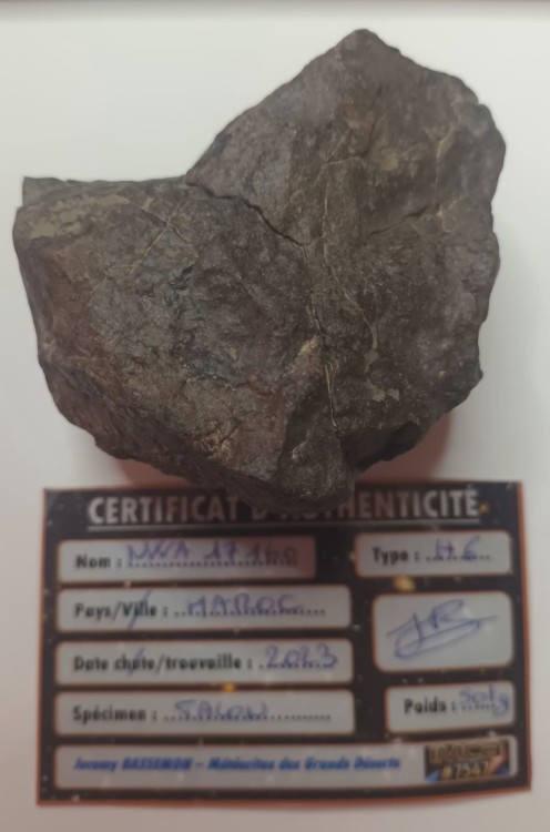 WhatsApp Image 2026-03-25 at 10.45.172.jpeg