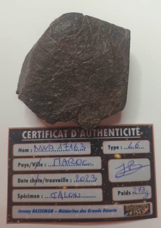 WhatsApp Image 2026-03-25 at 10.45.18.jpeg