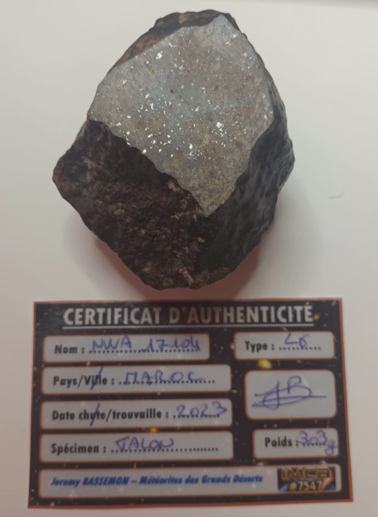 WhatsApp Image 2026-03-25 at 10.45.181.jpeg