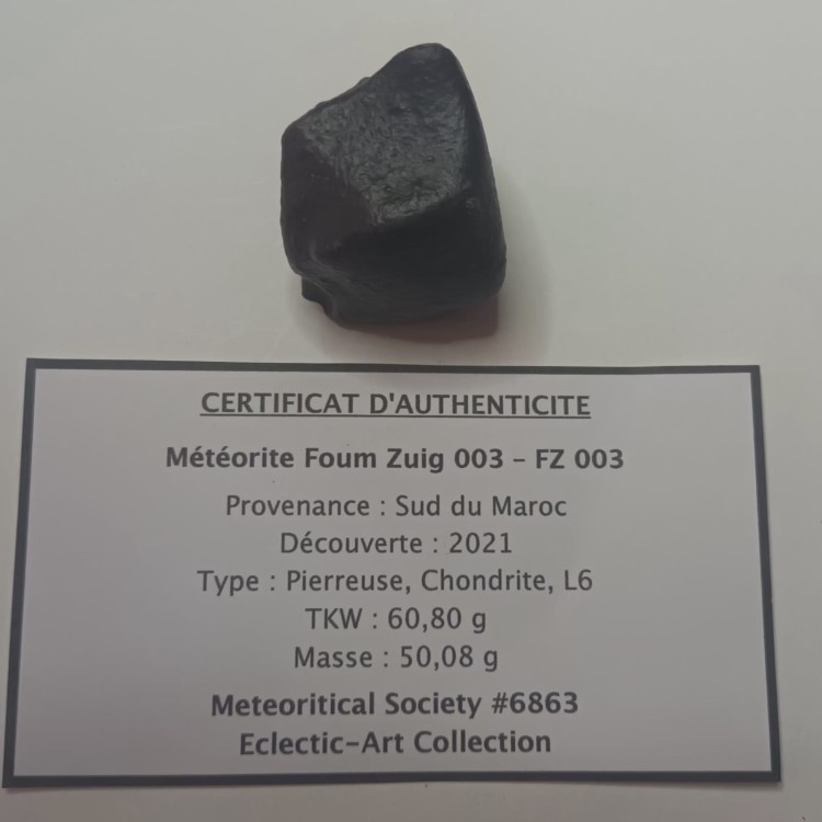 WhatsApp Image 2026-03-25 at 11.03.44.jpeg