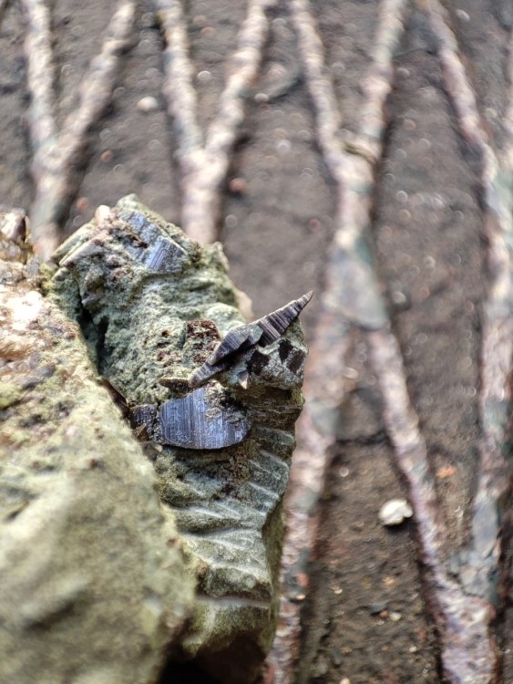 anatases Notre Dame du Cruet 73.jpeg