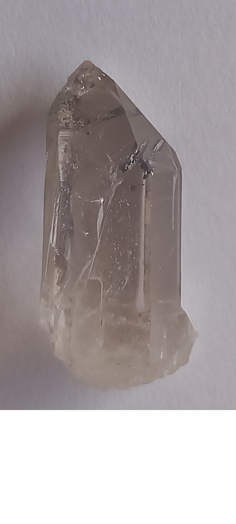 inclusons madeleine.png