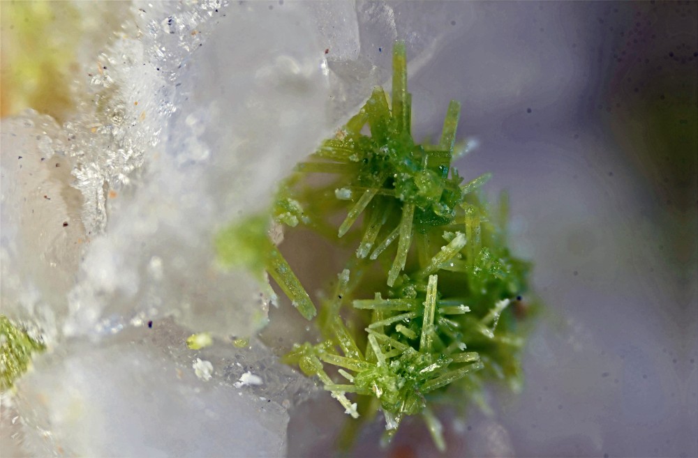 pyromorphite Clersange.jpg