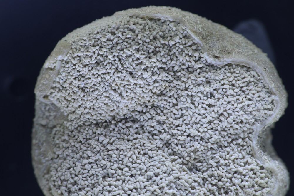 2026-03-27 18-18-34 (B,Radius50,Smoothing10).jpg