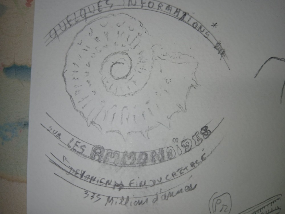 20260427_091959.jpg