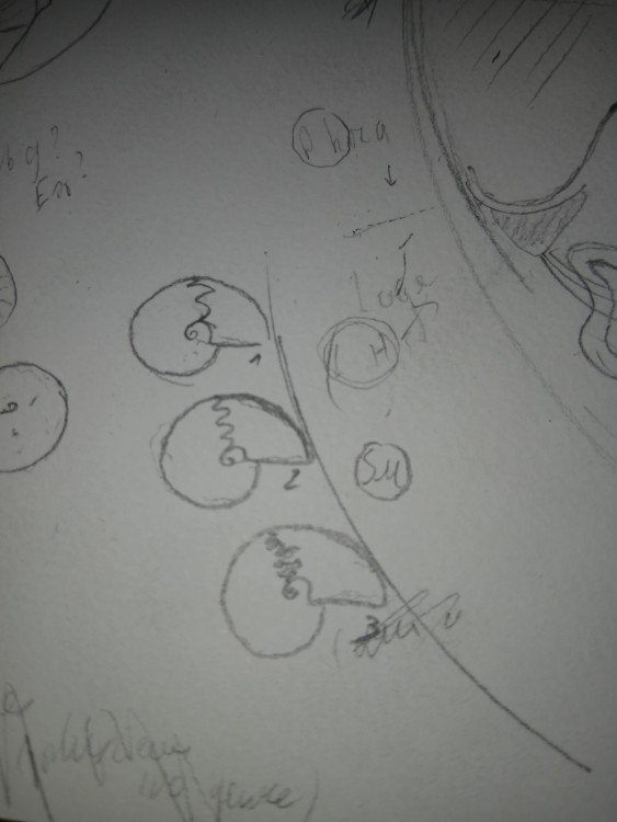 20260427_092121.jpg