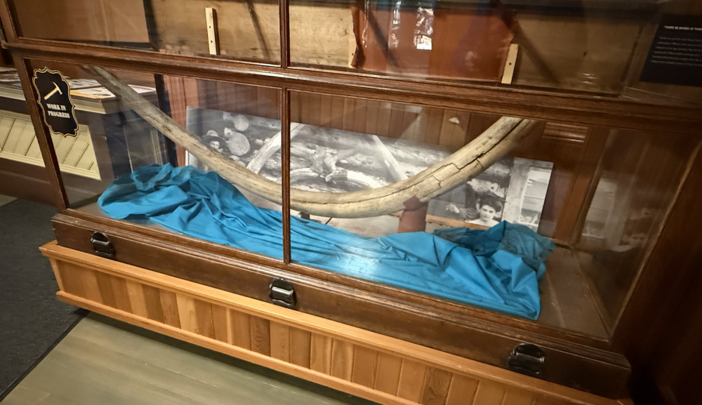 Capture d’écran 2026-04-01 à 12.19.52.png