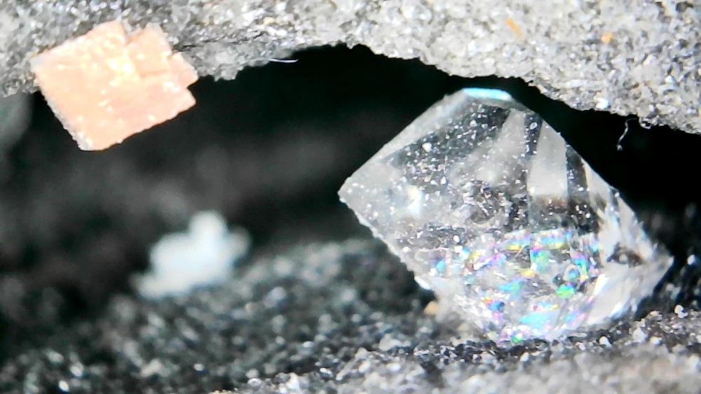 Photo_2026-03-22 18_46_37_864.JPG