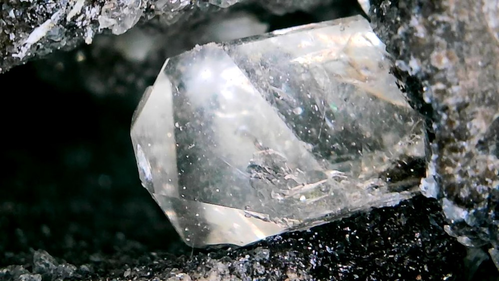 Photo_2026-03-22 18_49_46_358.JPG